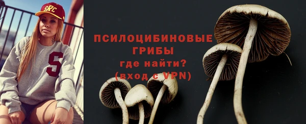 spice Балабаново