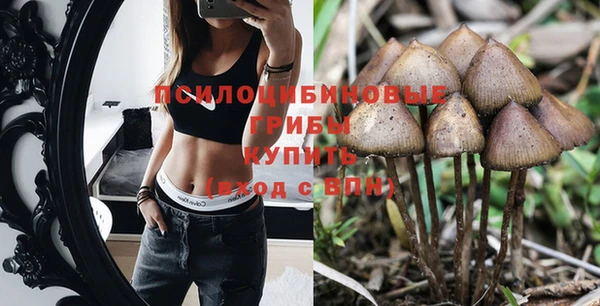 spice Балабаново